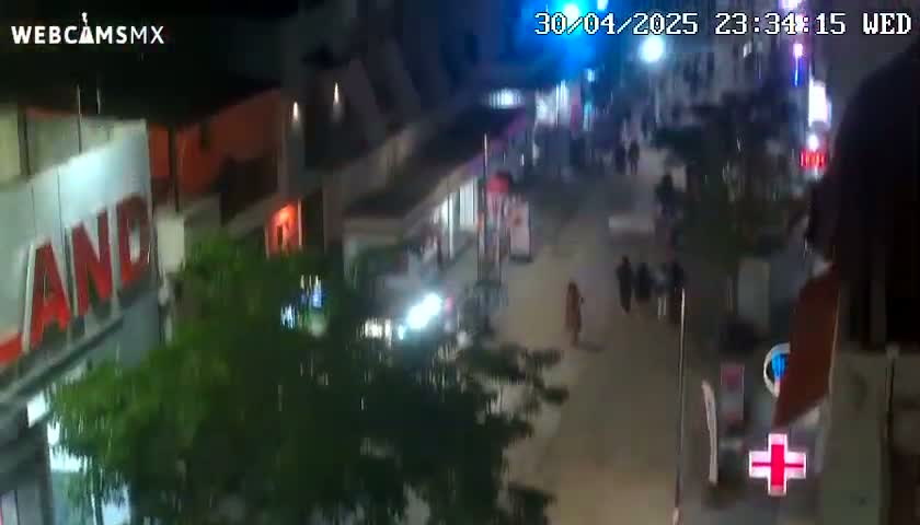 A nighttime high-angle view of a city street with pedestrians, buildings, and foliage.