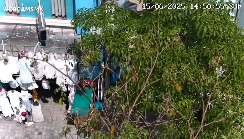 Playa del Carmen Avenue Quinta Avenida Live Cam - Solidaridad, Quintana Roo, Mexico