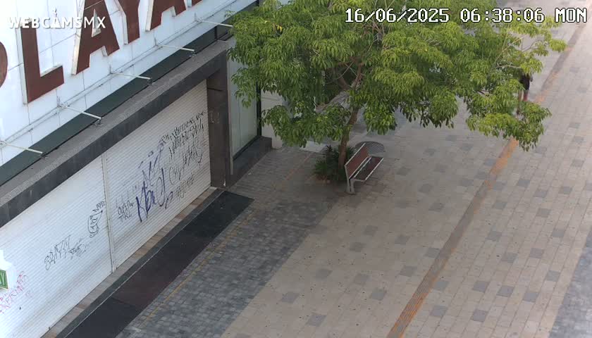 A paved walkway with a tree and a bench in front of a building with graffiti on its closed roll-up door.