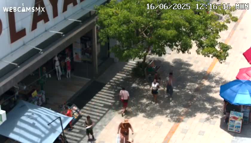 An outdoor plaza scene shows several people walking under a tree’s shade on a sunny day near a building with mannequins in its window.
