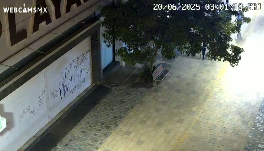A nighttime, high-angle view of a city sidewalk with graffiti-covered walls, a tree with a bench beneath it, and a few people walking in the distance.