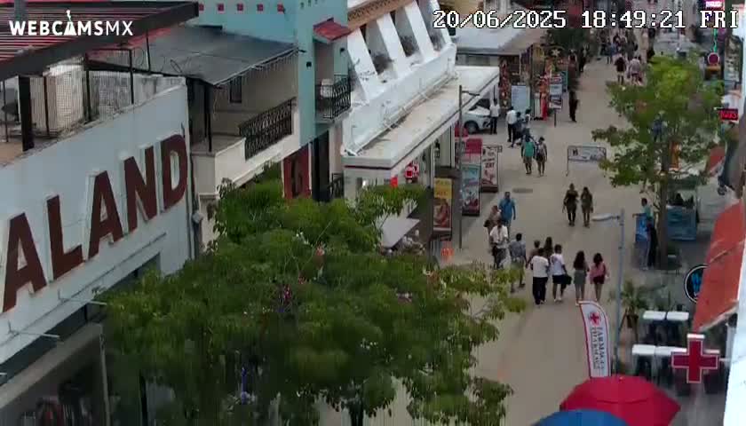 Playa del Carmen Avenue Quinta Avenida Live Cam - Solidaridad, Quintana Roo, Mexico