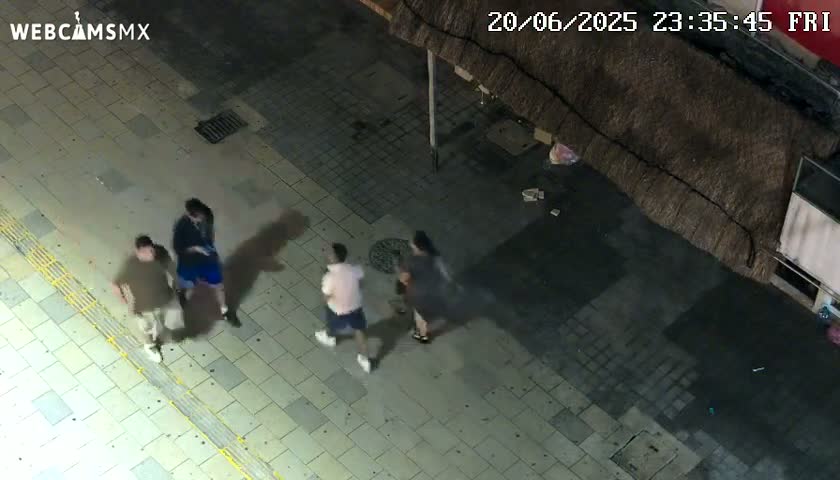 Playa del Carmen Avenue Quinta Avenida Live Cam - Solidaridad, Quintana Roo, Mexico