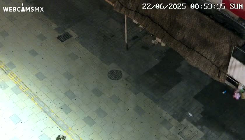 Playa del Carmen Avenue Quinta Avenida Live Cam - Solidaridad, Quintana Roo, Mexico
