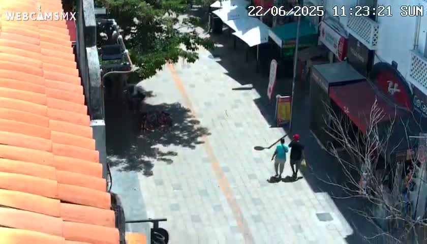 A sunny day reveals two people walking on a paved pedestrian street lined with shops and trees.