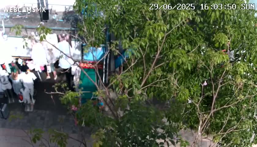 Playa del Carmen Avenue Quinta Avenida Live Cam - Solidaridad, Quintana Roo, Mexico