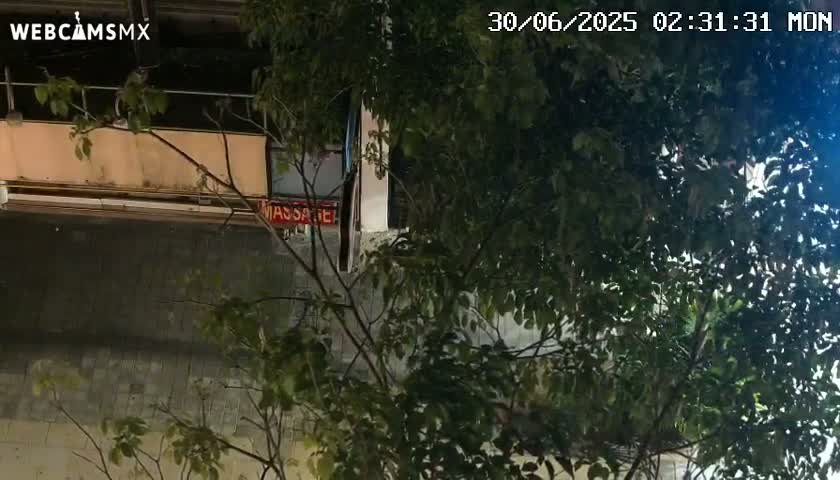 A nighttime view from above shows a building partially obscured by a leafy tree.