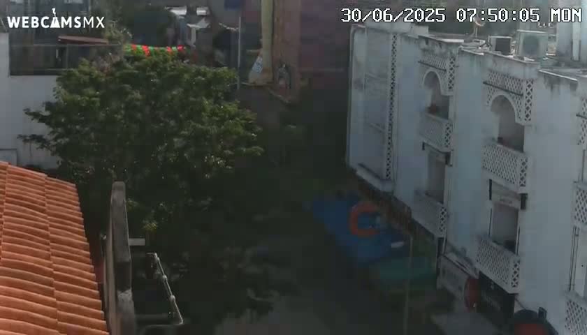 Playa del Carmen Avenue Quinta Avenida Live Cam - Solidaridad, Quintana Roo, Mexico