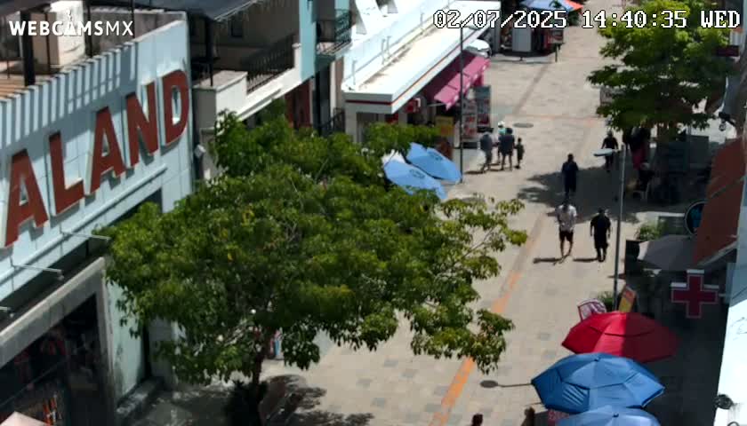 Playa del Carmen Avenue Quinta Avenida Live Cam - Solidaridad, Quintana Roo, Mexico