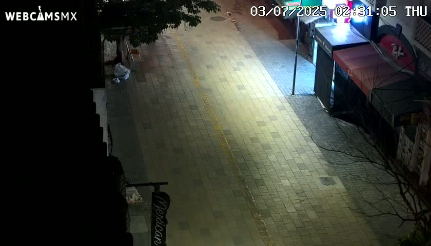 An empty, brightly lit city street at night is seen from an overhead perspective, with a few scattered items on the pavement and shadows cast by buildings and trees.