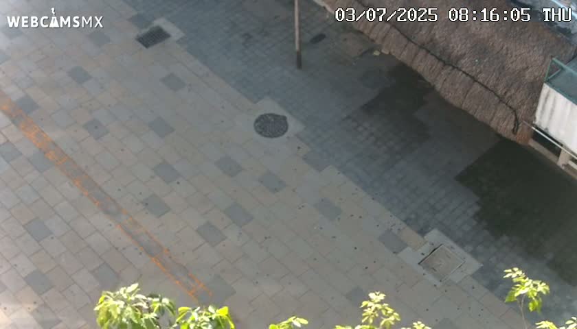 Playa del Carmen Avenue Quinta Avenida Live Cam - Solidaridad, Quintana Roo, Mexico