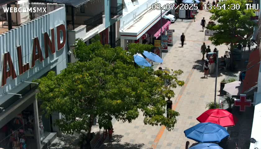Playa del Carmen Avenue Quinta Avenida Live Cam - Solidaridad, Quintana Roo, Mexico