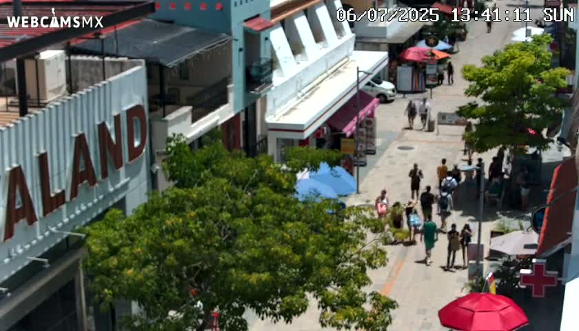 Playa del Carmen Avenue Quinta Avenida Live Cam - Solidaridad, Quintana Roo, Mexico