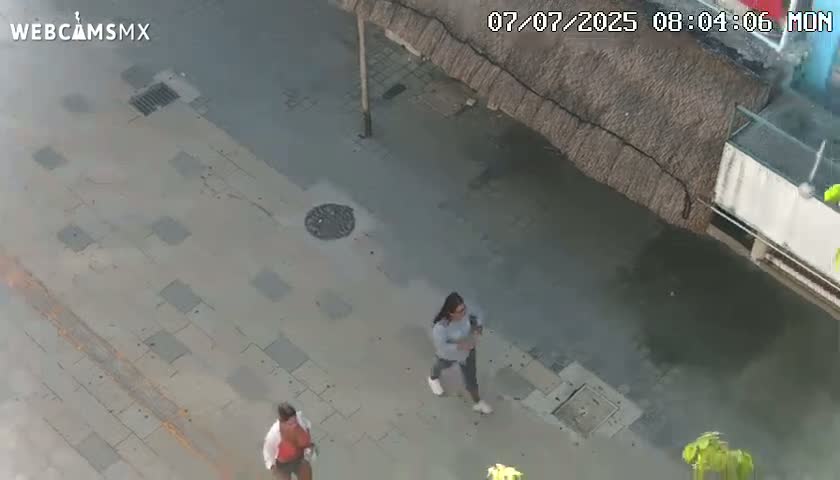 Playa del Carmen Avenue Quinta Avenida Live Cam - Solidaridad, Quintana Roo, Mexico