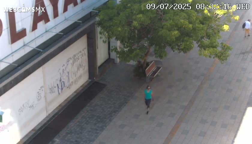 Playa del Carmen Avenue Quinta Avenida Live Cam - Solidaridad, Quintana Roo, Mexico