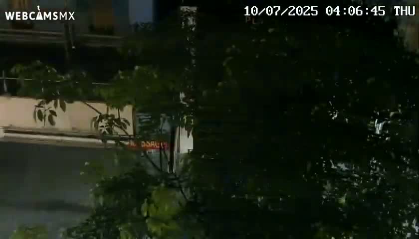 Playa del Carmen Avenue Quinta Avenida Live Cam - Solidaridad, Quintana Roo, Mexico