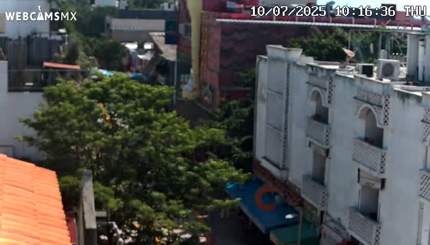 Playa del Carmen Avenue Quinta Avenida Live Cam - Solidaridad, Quintana Roo, Mexico