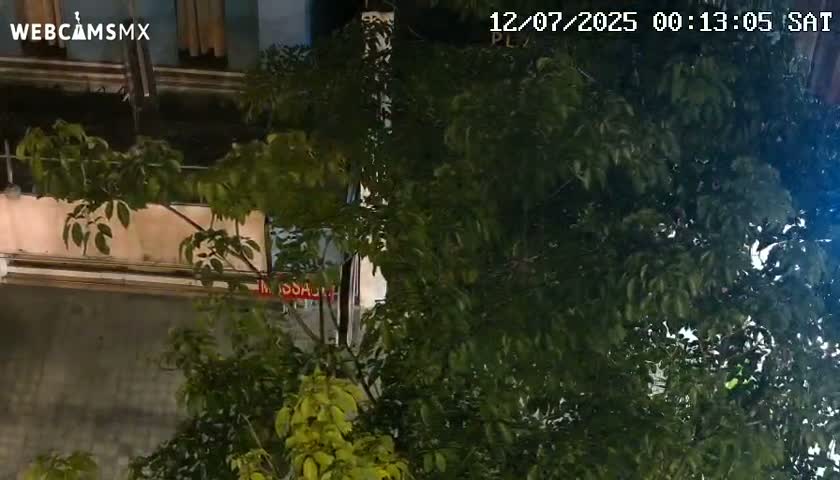 Playa del Carmen Avenue Quinta Avenida Live Cam - Solidaridad, Quintana Roo, Mexico