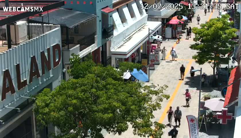 Playa del Carmen Avenue Quinta Avenida Live Cam - Solidaridad, Quintana Roo, Mexico