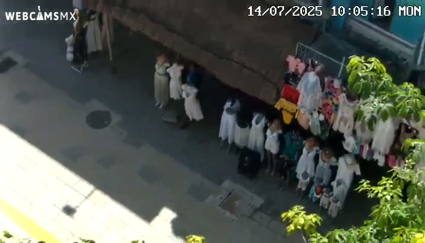 Playa del Carmen Avenue Quinta Avenida Live Cam - Solidaridad, Quintana Roo, Mexico