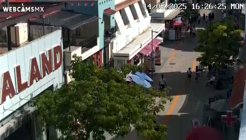 Playa del Carmen Avenue Quinta Avenida Live Cam - Solidaridad, Quintana Roo, Mexico