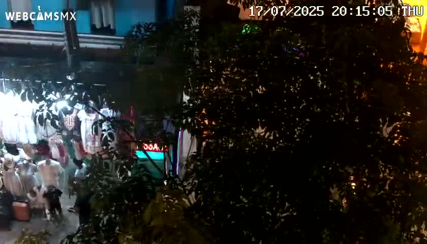 Playa del Carmen Avenue Quinta Avenida Live Cam - Solidaridad, Quintana Roo, Mexico