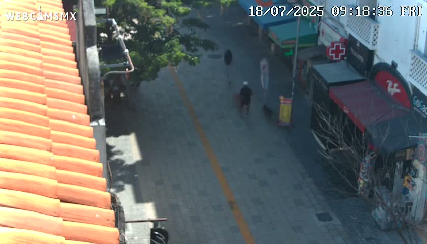 Playa del Carmen Avenue Quinta Avenida Live Cam - Solidaridad, Quintana Roo, Mexico