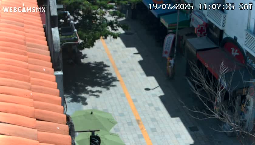 Playa del Carmen Avenue Quinta Avenida Live Cam - Solidaridad, Quintana Roo, Mexico