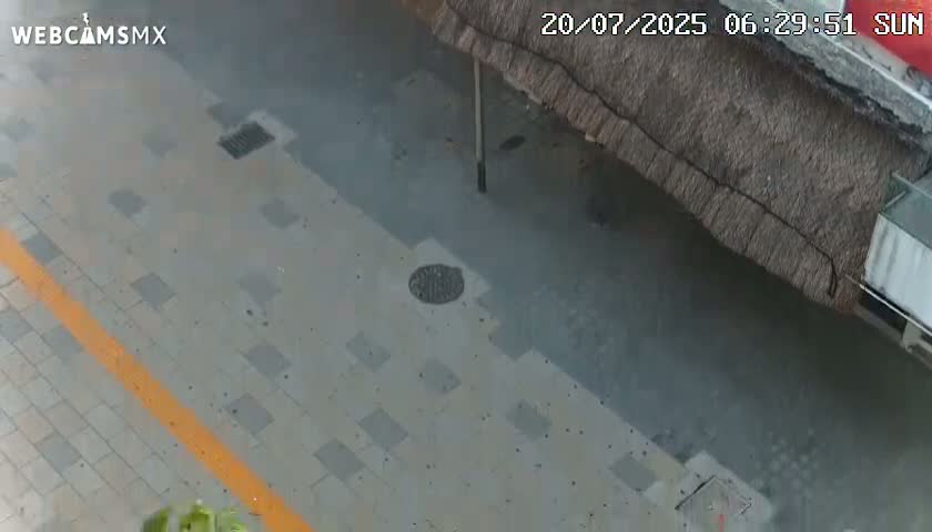 Playa del Carmen Avenue Quinta Avenida Live Cam - Solidaridad, Quintana Roo, Mexico