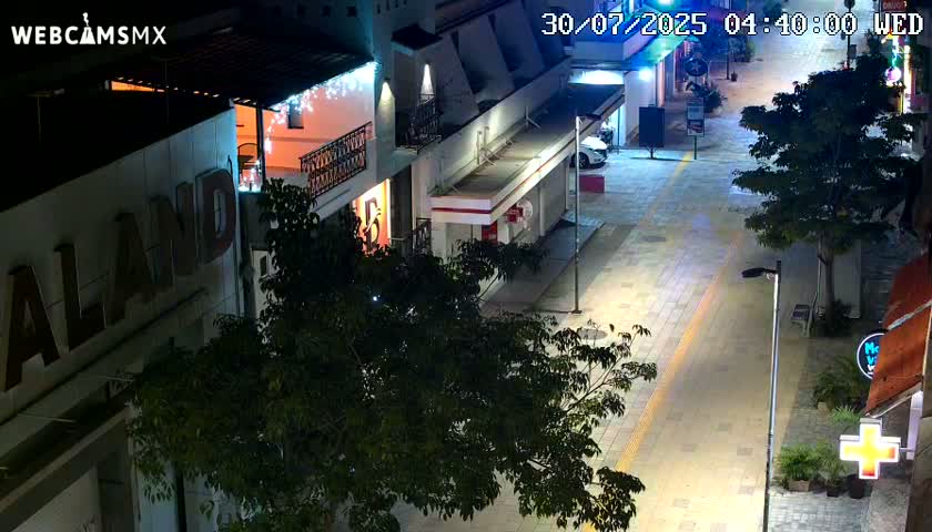 Playa del Carmen Avenue Quinta Avenida Live Cam - Solidaridad, Quintana Roo, Mexico