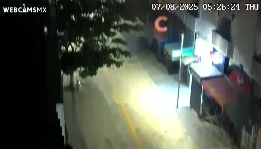 Playa del Carmen Avenue Quinta Avenida Live Cam - Solidaridad, Quintana Roo, Mexico