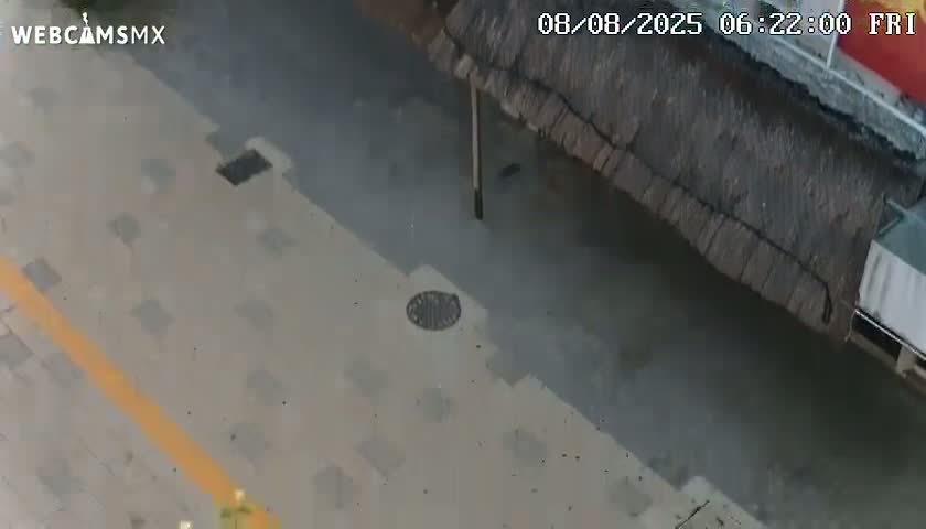 Playa del Carmen Avenue Quinta Avenida Live Cam - Solidaridad, Quintana Roo, Mexico