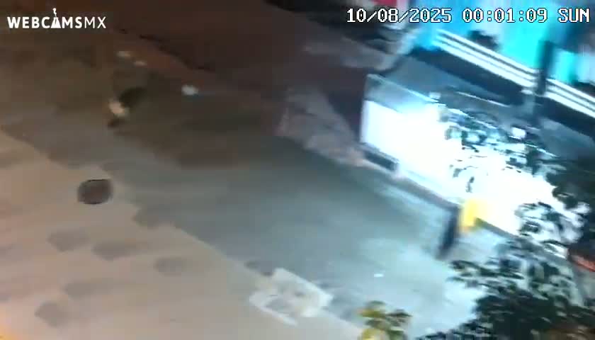 Playa del Carmen Avenue Quinta Avenida Live Cam - Solidaridad, Quintana Roo, Mexico
