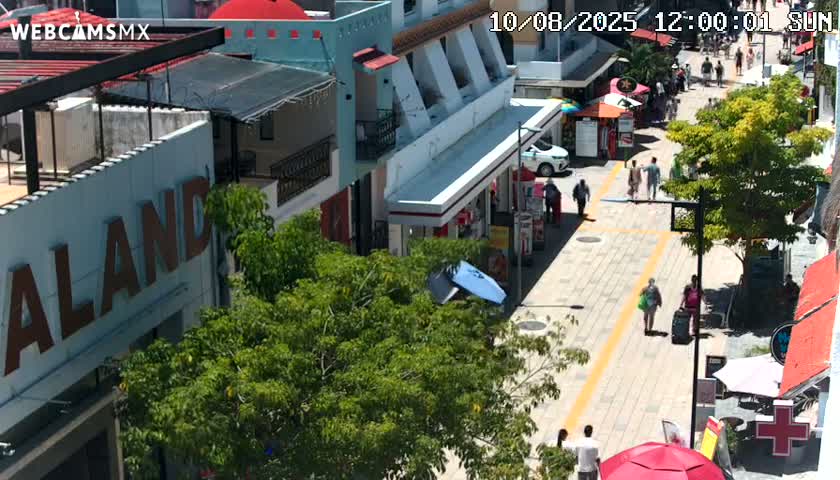 Playa del Carmen Avenue Quinta Avenida Live Cam - Solidaridad, Quintana Roo, Mexico