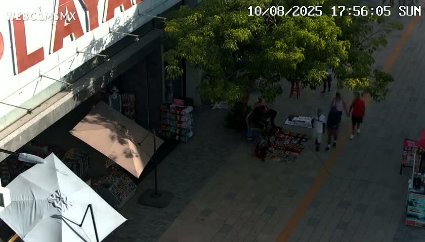 Playa del Carmen Avenue Quinta Avenida Live Cam - Solidaridad, Quintana Roo, Mexico