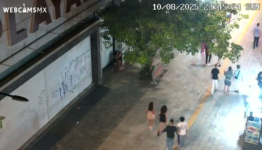 Playa del Carmen Avenue Quinta Avenida Live Cam - Solidaridad, Quintana Roo, Mexico