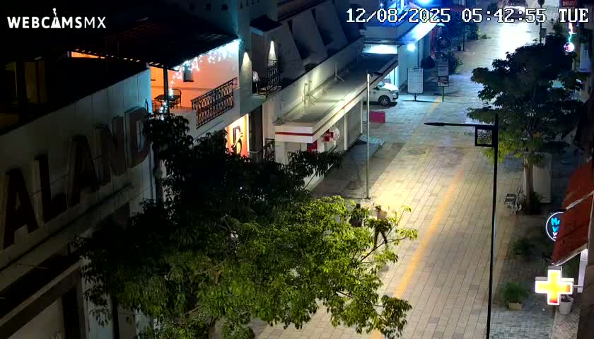 Playa del Carmen Avenue Quinta Avenida Live Cam - Solidaridad, Quintana Roo, Mexico