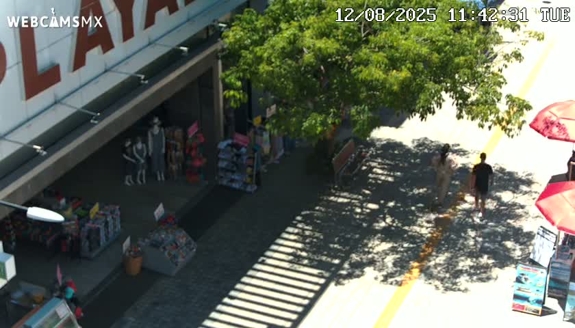 Playa del Carmen Avenue Quinta Avenida Live Cam - Solidaridad, Quintana Roo, Mexico
