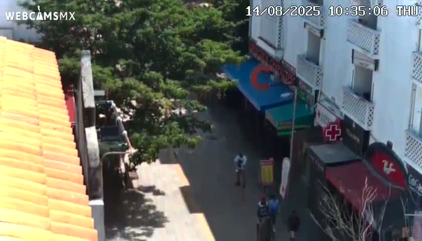 Playa del Carmen Avenue Quinta Avenida Live Cam - Solidaridad, Quintana Roo, Mexico