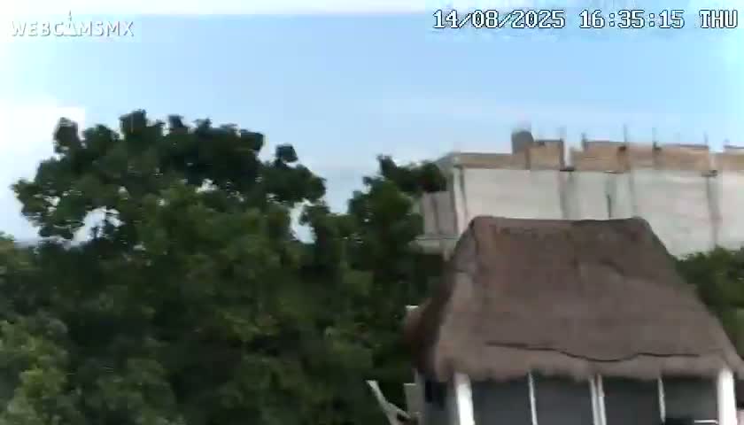 Playa del Carmen Avenue Quinta Avenida Live Cam - Solidaridad, Quintana Roo, Mexico