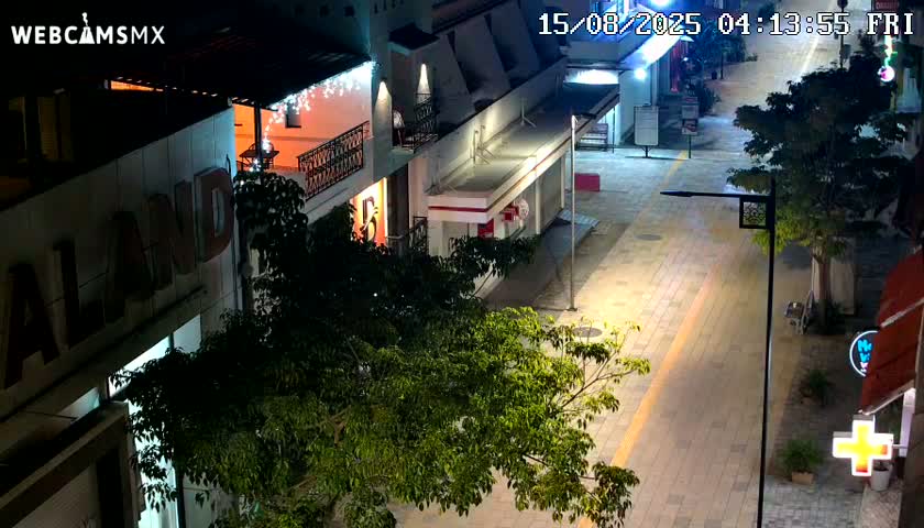 Playa del Carmen Avenue Quinta Avenida Live Cam - Solidaridad, Quintana Roo, Mexico