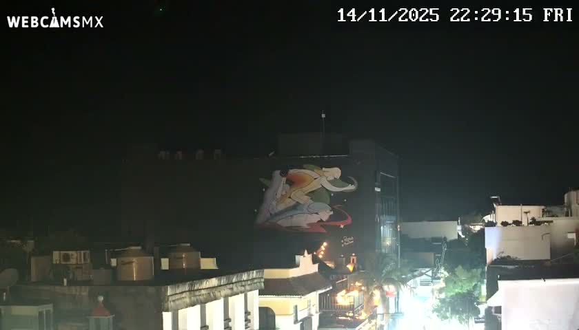 The image displays a clear night view of an urban area, featuring a large, colorful mural depicting intertwined figures on a dark building, with other illuminated structures and rooftops visible below.