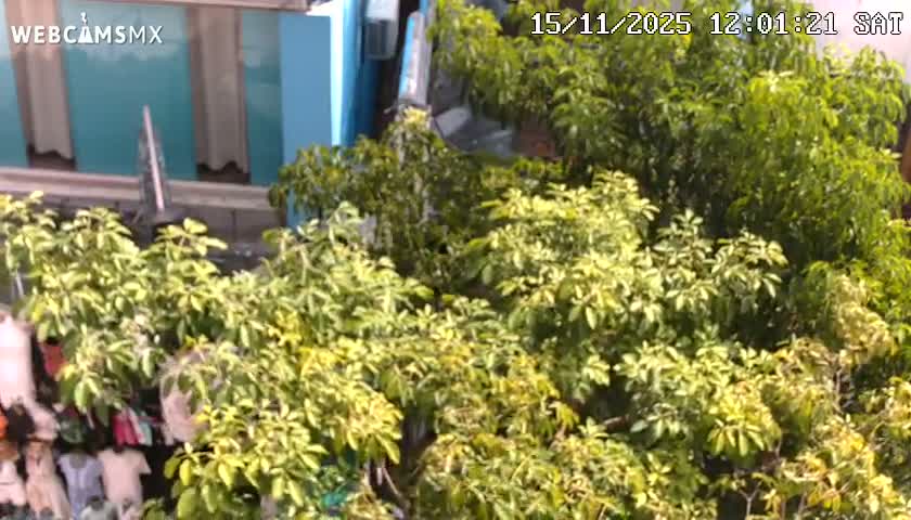 Playa del Carmen Avenue Quinta Avenida Live Cam - Solidaridad, Quintana Roo, Mexico