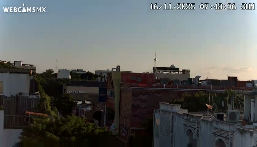 Playa del Carmen Avenue Quinta Avenida Live Cam - Solidaridad, Quintana Roo, Mexico