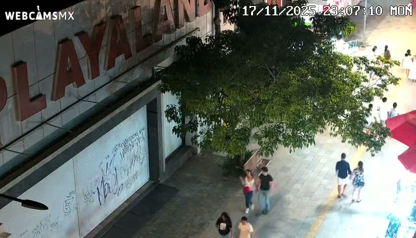Playa del Carmen Avenue Quinta Avenida Live Cam - Solidaridad, Quintana Roo, Mexico
