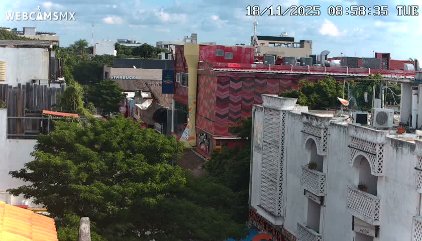 The image displays a clear night view of an urban area, featuring a large, colorful mural depicting intertwined figures on a dark building, with other illuminated structures and rooftops visible below.