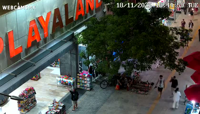 Playa del Carmen Avenue Quinta Avenida Live Cam - Solidaridad, Quintana Roo, Mexico