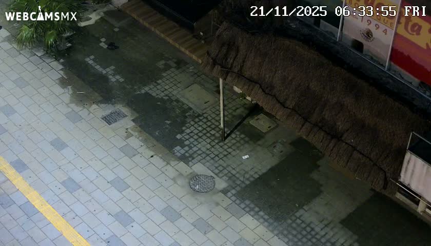 Playa del Carmen Avenue Quinta Avenida Live Cam - Solidaridad, Quintana Roo, Mexico