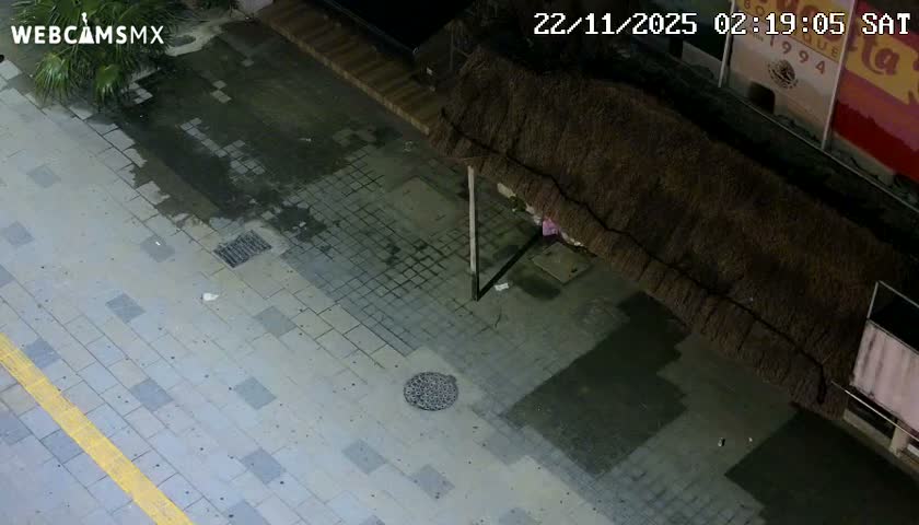 Playa del Carmen Avenue Quinta Avenida Live Cam - Solidaridad, Quintana Roo, Mexico