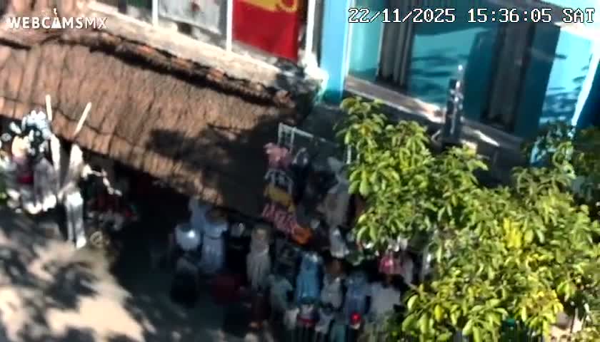 Playa del Carmen Avenue Quinta Avenida Live Cam - Solidaridad, Quintana Roo, Mexico